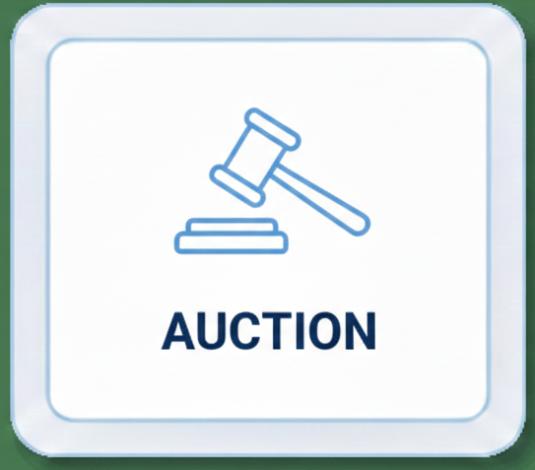 Bid-in-auction Bid-in-auction